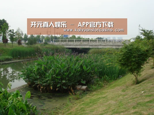 案例展示四(图1)