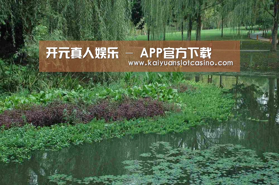 案例展示一(图1)