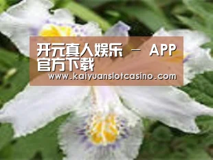 产品名称二