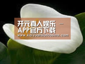 产品名称七